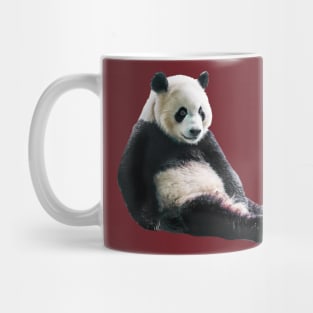 Pondering Panda Mug